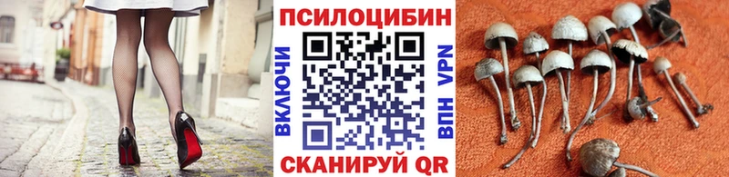 Псилоцибиновые грибы GOLDEN TEACHER  цены наркотик  Туапсе 