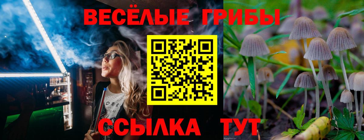 Туапсе  Псилоцибиновые грибы ЛСД  Вход с VPN 